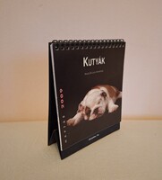 Kutyás naptár 2009-es