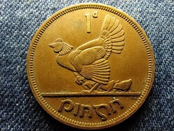 Írország tyúk csibékkel 1 Pingin 1946