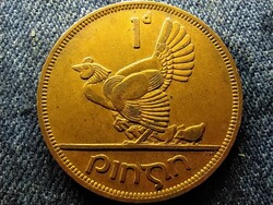 Írország tyúk csibékkel 1 Pingin 1963