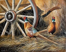 SALE Dabronaki Pheasant Roosters 40x50 cm oil on canvas