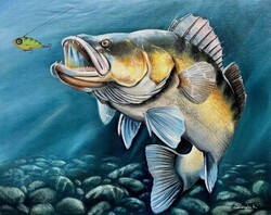 Reduced Dabronaki Perch and Bait 40x50 cm Oil on Canvas
