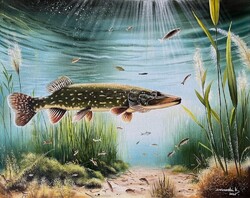 SOLD - Dabronaki Csuka 40x50 cm oil on canvas