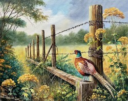 SALE Dabronaki Pheasant by the Fence 40x50 cm oil on canvas