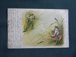 Képeslap,litho,grafikai,művészet,béka,hangszer,gitár,romantika,szerelem,ünnep,névnapi,1899-