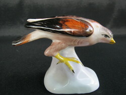 Aquincumi porcelán madár sas