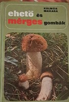 Edible and Poisonous Mushrooms