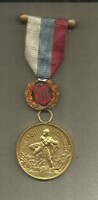 Czechoslovak Volunteer Firefighters Association – 50 Years of Activity