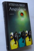 Stefan Brijs: Angyalgyár