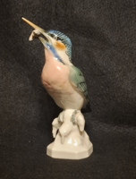 Antik porcelán jégmadár