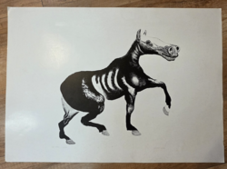 Somogyi Győző (1942): Horse (1973) – Rare, early copperplate etching with very low edition number