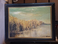 Szignós nádas tópart festmény, olaj, farost, 50x70 cm+keret