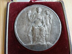 Ezüst emlékérem eredeti dobozzal, Osztrák Kereskedelmi Kamara, 1910. Kész.: Peter Breithut. 118,5gr,