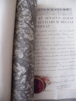 Államtudomány doktori cím diploma-A nemes és híres Magyar Erzsébet Királyi Tudományegyetem Szenátus-