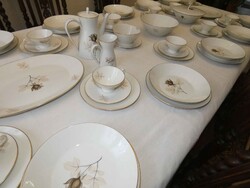 12-Person, 68-Piece Perfect Condition Rosenthal Coffee and Dinnerware Set