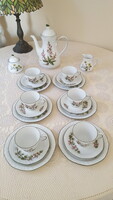 Gyönyörű,botanikai mintás Alpina"Asta" porcelán teáskészlet
