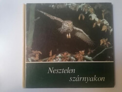 Schönn Renate and Siegfried: Silent Wings