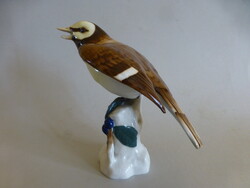 Ritka Royal Dux madár