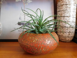 Retro Tófej space age globe planter