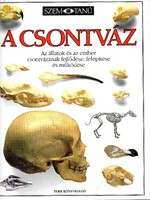 Witness: The Skeleton (Park Publishing) - Anatomy, Biology, Zoology