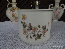 ENGLISH POTTED PLANT