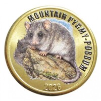 Chile,2 pounds 2026 - Chiloé-sziget - Hegyi erszényespele aUNC+ ötvözet