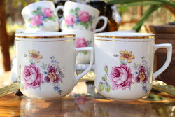 Czechoslovak EPIAG D.F. Large Mug Pair