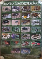 Agroinform Publisher: BEETLES