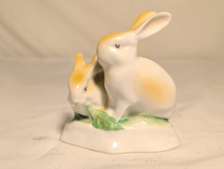 Hollóházi Rabbit