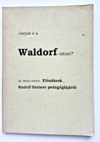 Dr. Mezei Ottóné: Járjak-e a Waldorf-úton? – Ritka szerzői kiadás, waldorfos alapmű!