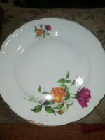 Porcelain Plate with Roses In the condition shown in the pictures. Promotion Auction Hundreds of Items Take It Away
