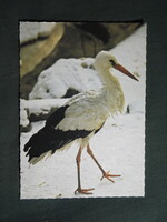 Képeslap,állatok,ornitológia,gólya madár,1983-