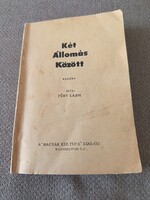 Fűri Lajos: Két állomás között