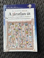 A járatlan út