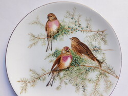 Kenderike - angol Coalport madaras dísztányér
