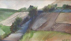 (N) Lieber Éva (1932 - 2005) : Út
