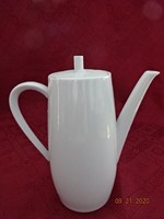 Seltmann Weiden Bavarian German porcelain teapot, snow white, height 23 cm. He has!