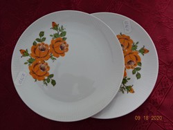 Seltmann welden Bavarian German porcelain, yellow rose cake plate. He has!