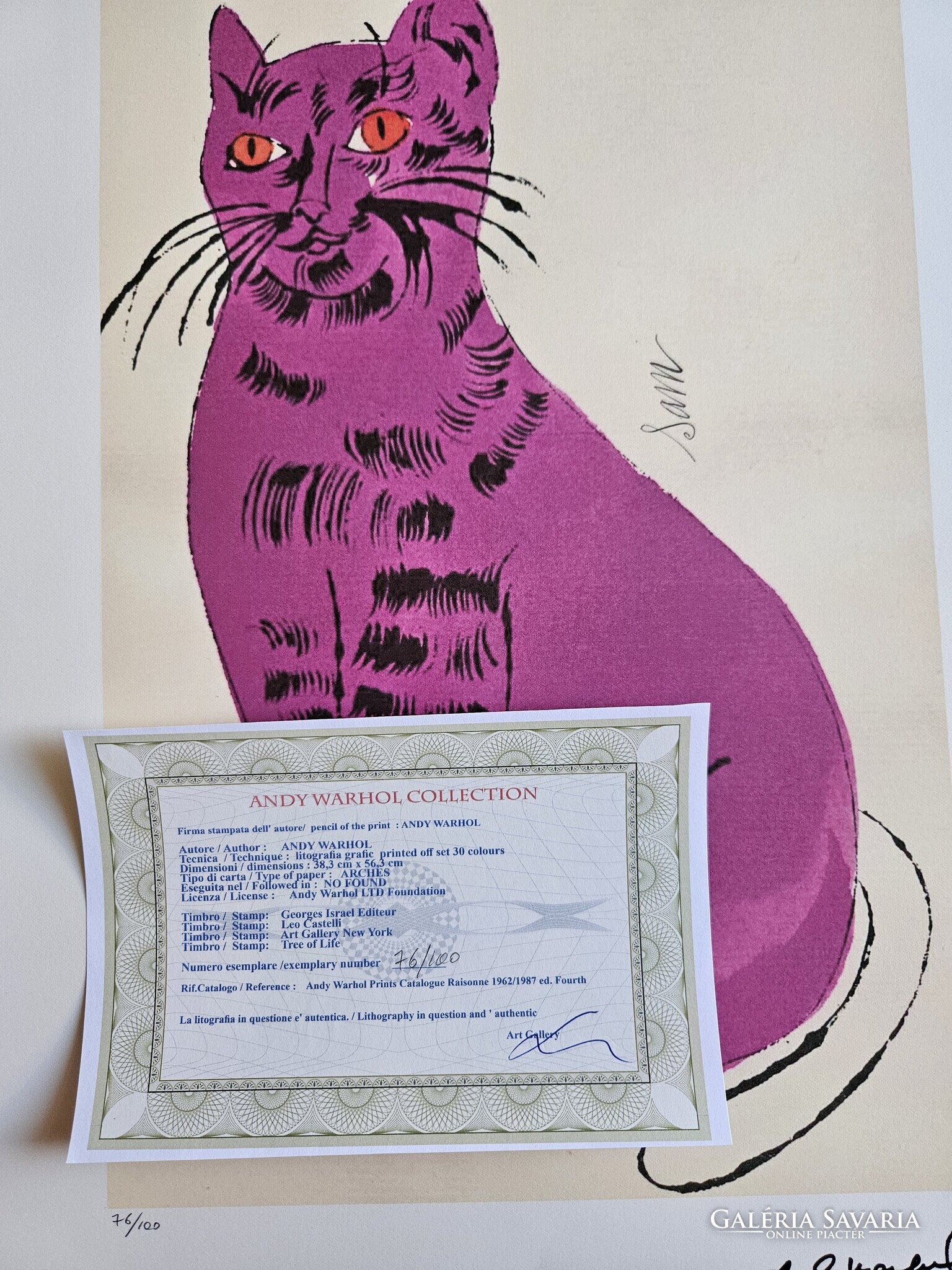 Lithographie Signée Andy Warhol – Cat Sam, Avec Certificat D