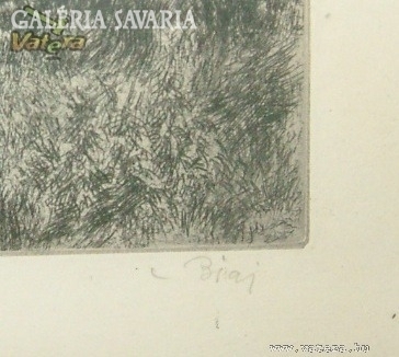 Biai - etching by István Főglein