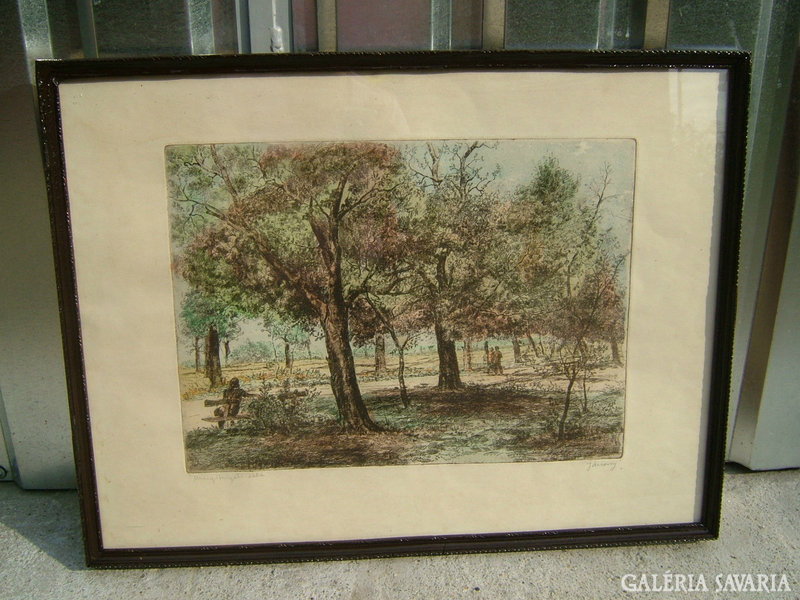 Jánossy Ferenc - Margitszigeti walk colored etching / Er