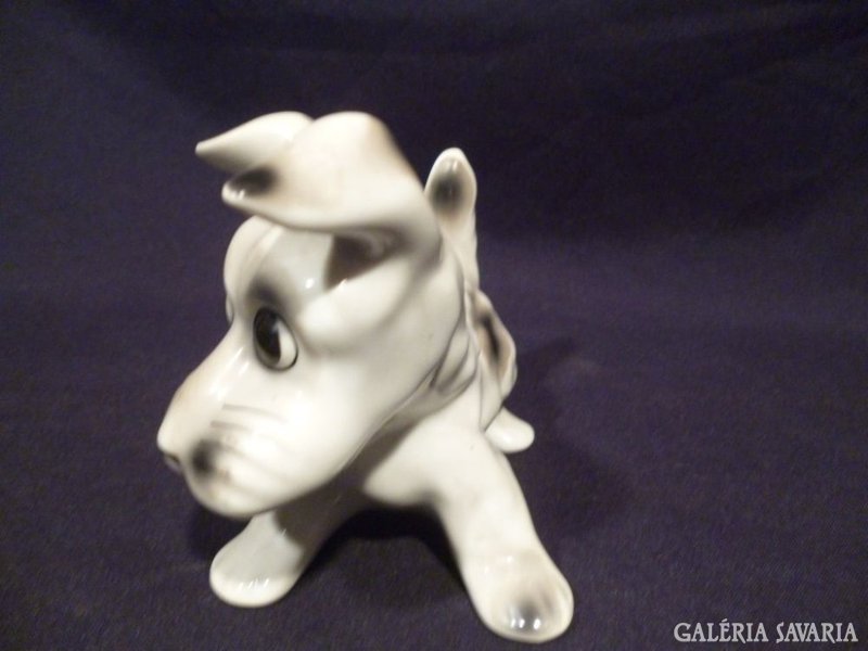 4721 I3 Régi porcelán foxi kutya