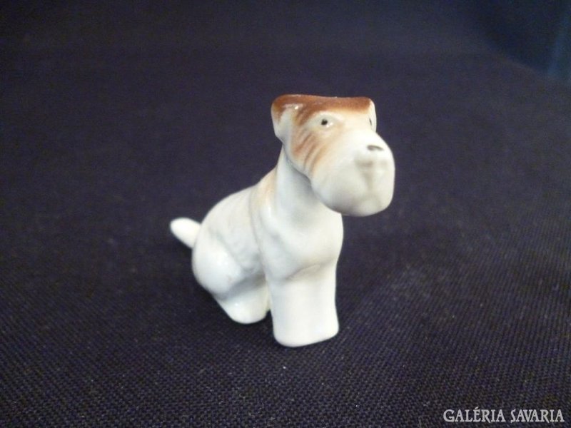 Y321 G3 Régi porcelán mini kutya foxi
