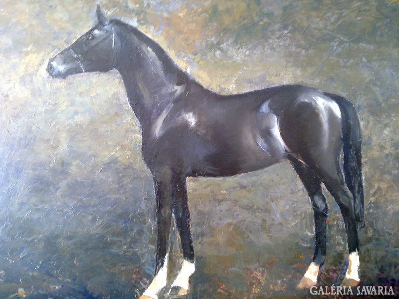 Santhoffer imre- black horse