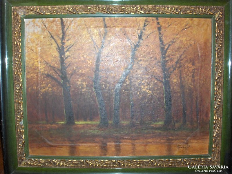 Kovács M.: forest interior