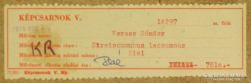Veress Sándor László : "Stratocumulus Lacoumous"