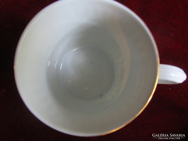 Biedermeier hot chocolate porcelain cup set Prague