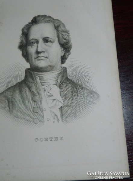 Famous people on antique engraving - woodcut Goethe