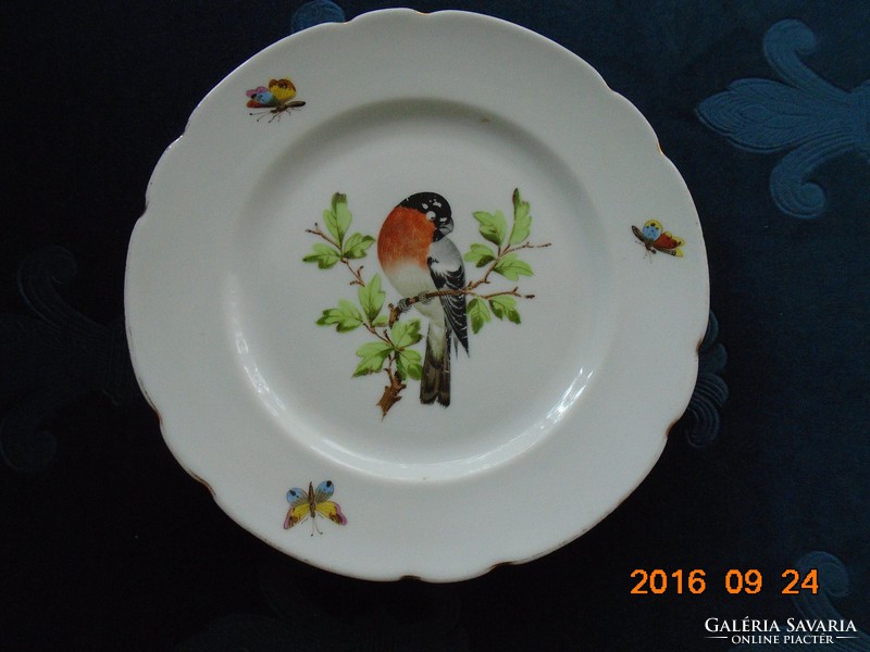 19.Hand-painted parrot butterfly plate