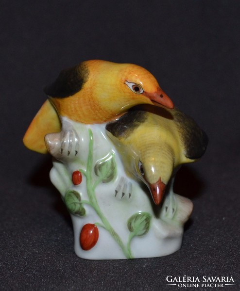 Herendi sárgarigó madár pár