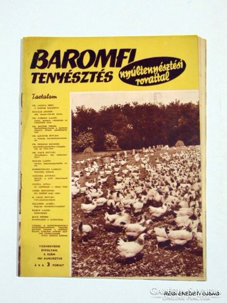 1967 augusztus  /  BAROMFI TENYÉSZTÉS  /  RÉGI EREDETI MAGYAR ÚJSÁG Ssz.: 1596